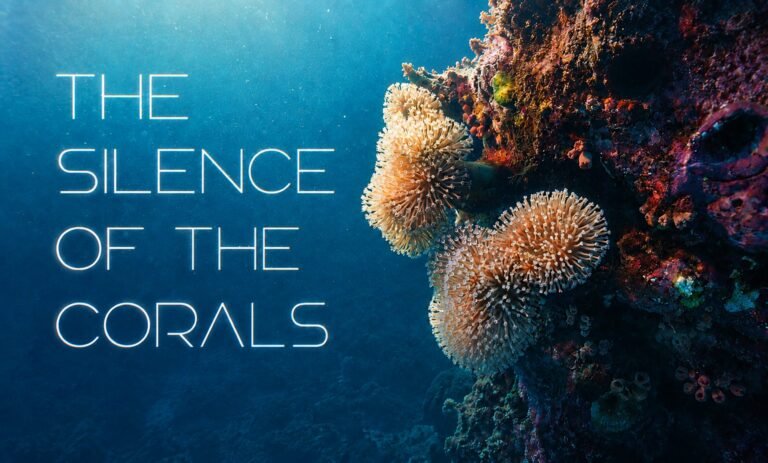 POSTER WEB THE SILNECE OF THE CORALS